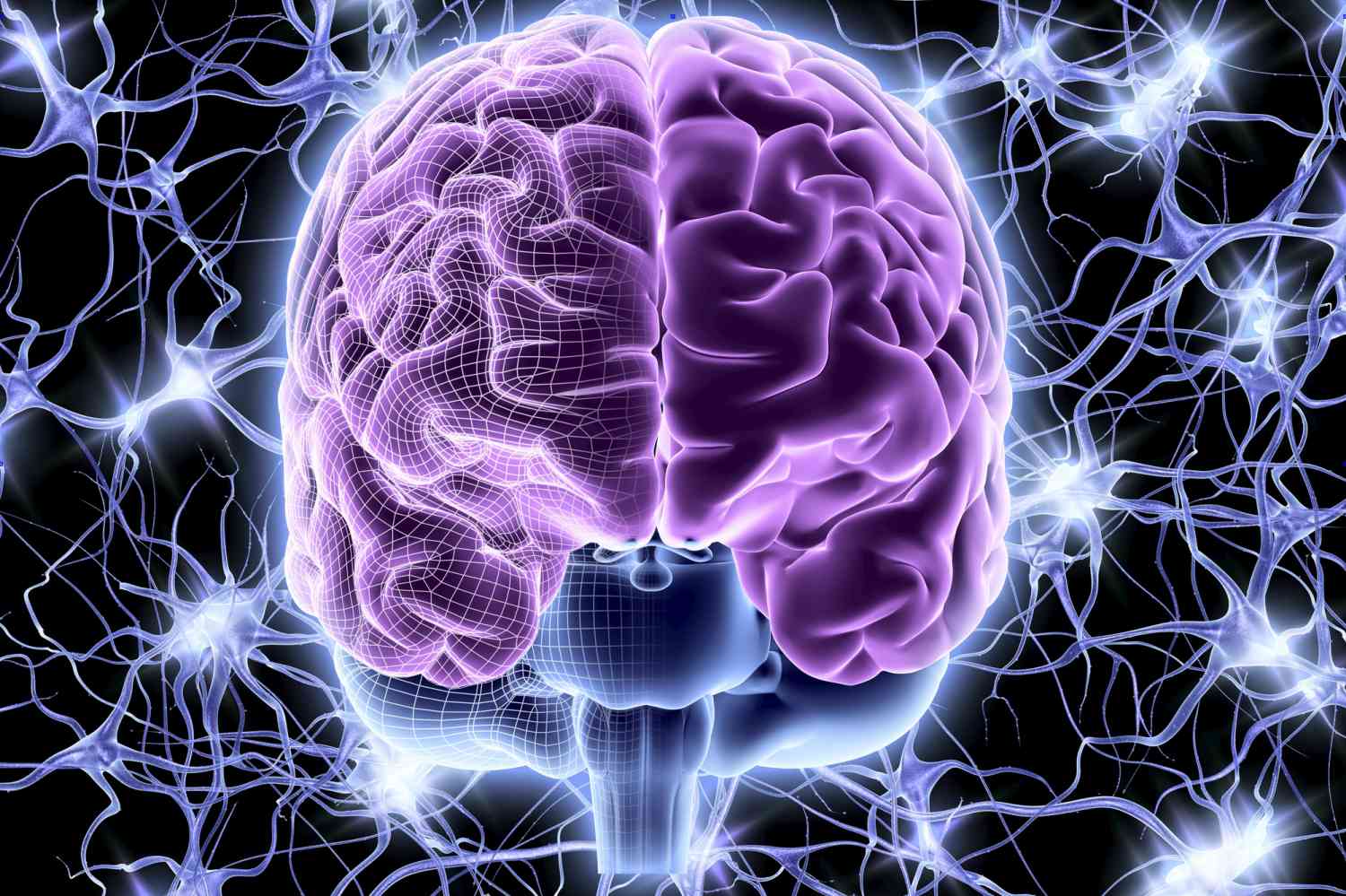 files/brain_neuron_activity-57d880483df78c5833a884c6.jpg